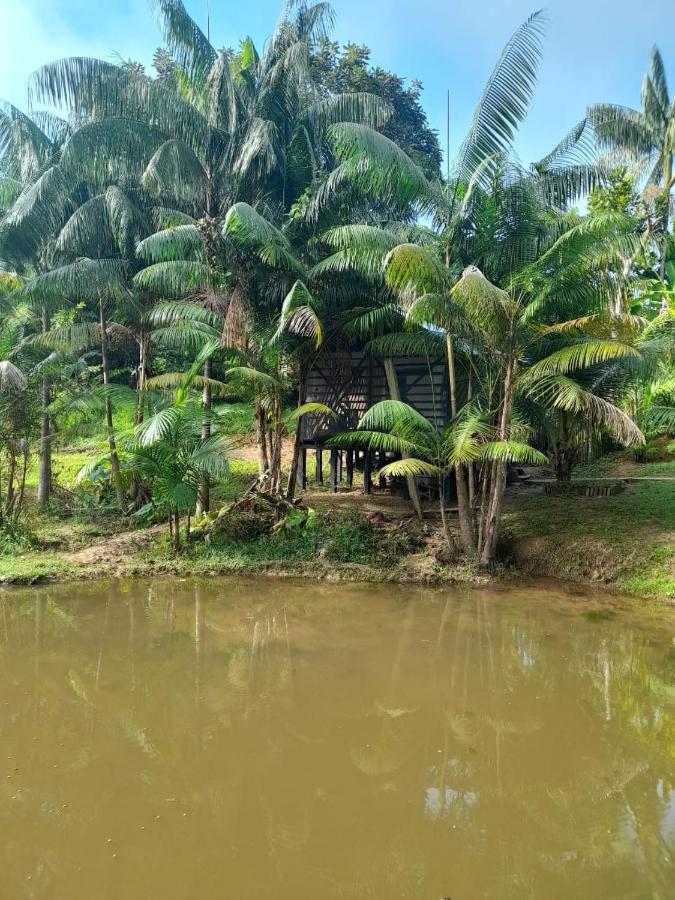 Cabanas Dechi Puerto Nariño エクステリア 写真