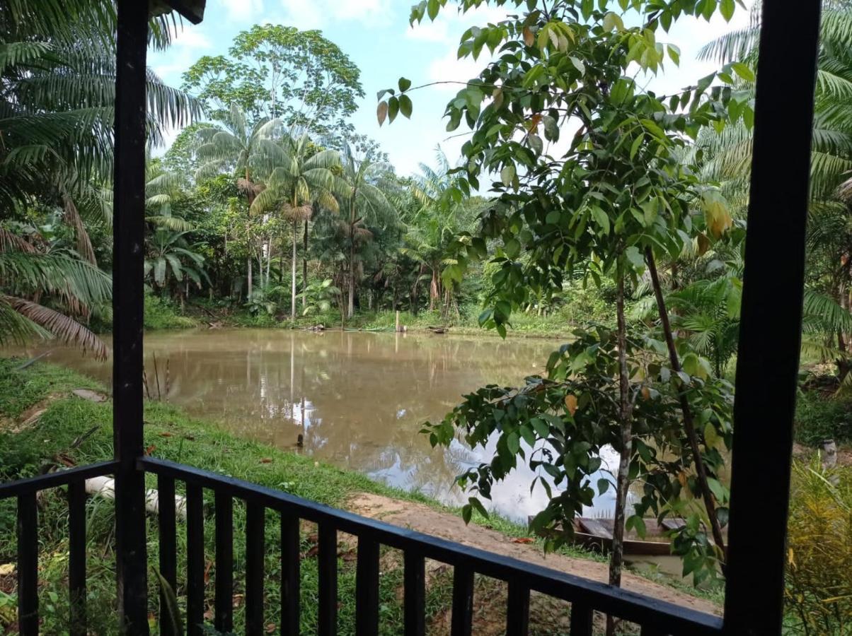 Cabanas Dechi Puerto Nariño エクステリア 写真