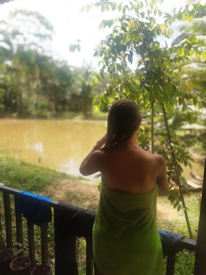 Cabanas Dechi Puerto Nariño エクステリア 写真