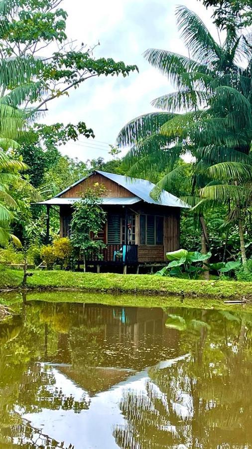 Cabanas Dechi Puerto Nariño エクステリア 写真