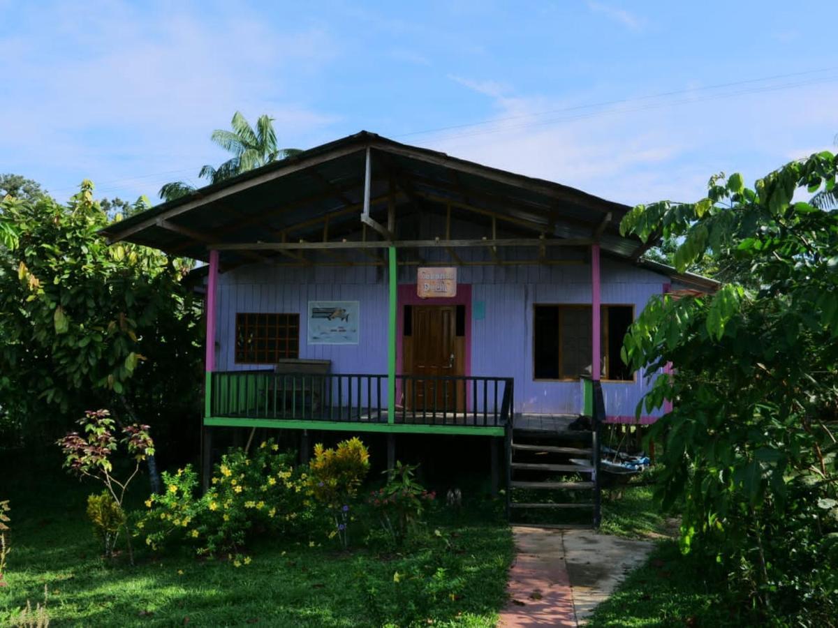 Cabanas Dechi Puerto Nariño エクステリア 写真