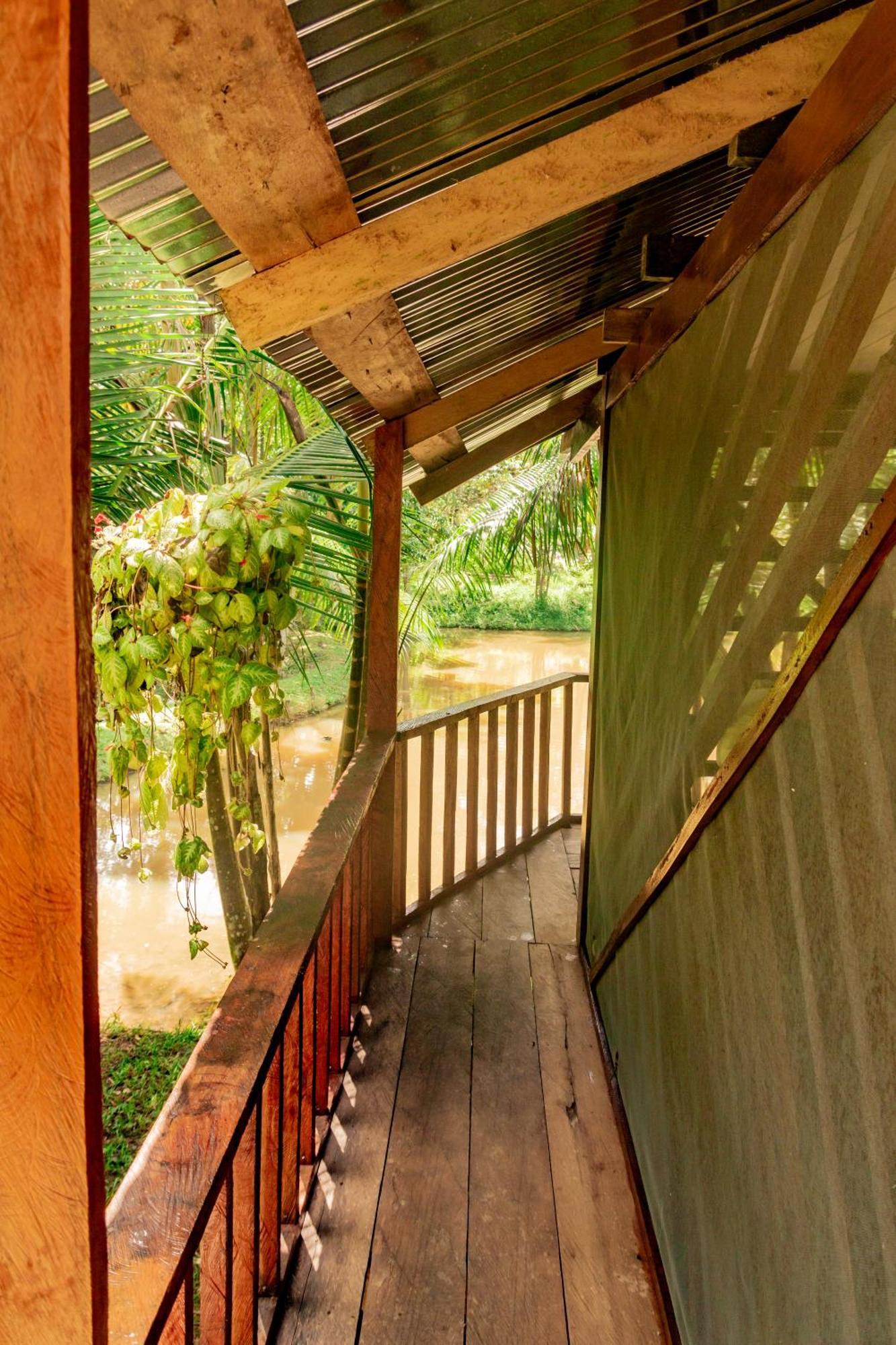 Cabanas Dechi Puerto Nariño エクステリア 写真